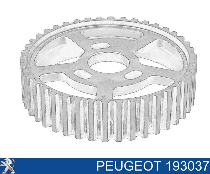 193037 Peugeot/Citroen Roda dentada de engrenagem de cadeia da Bomba de Combustível de Pressão Alta
