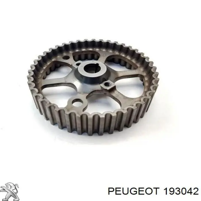 Compre 193042 Peugeot/Citroen Roda dentada de engrenagem de cadeia da Bomba de Combustível de Pressão Alta