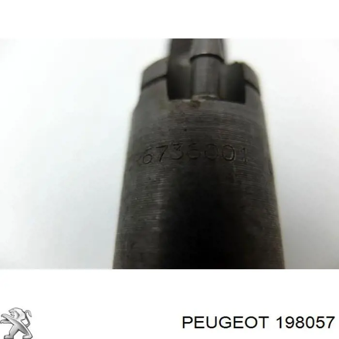 198057 Peugeot/Citroen Injetor de injeção de combustível