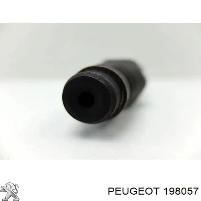 Injetor de injeção de combustível Peugeot/Citroen 198057 preço, a partir de 212,82 USD