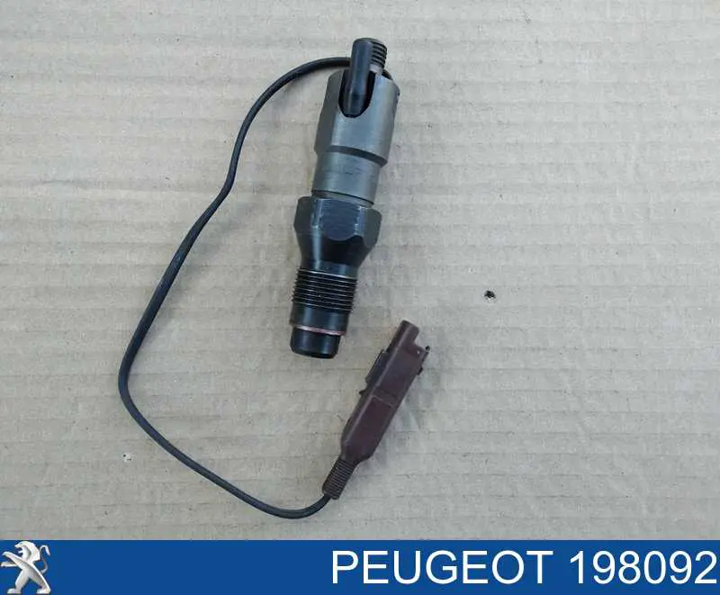 198092 Peugeot/Citroen Injetor de injeção de combustível