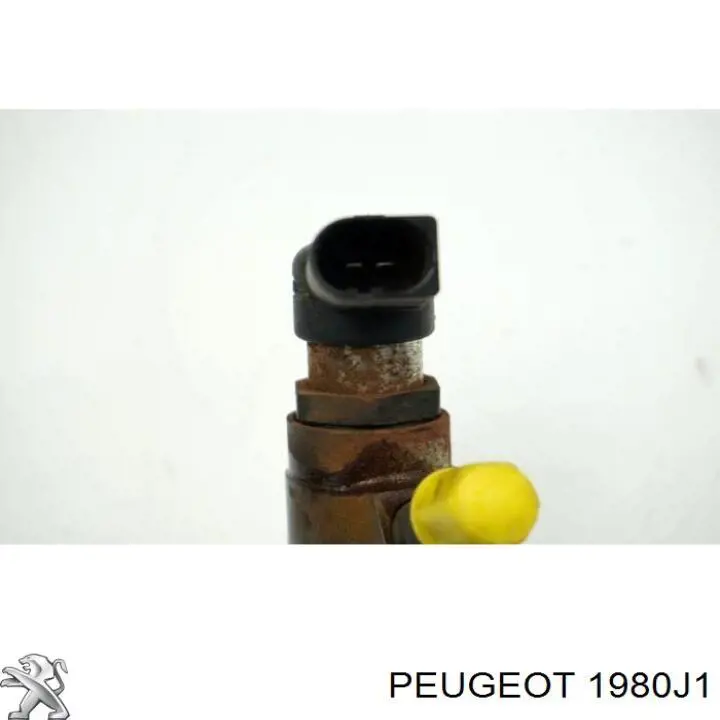 Injetor de injeção de combustível Peugeot/Citroen 1980J1 preço, a partir de 80,16 USD
