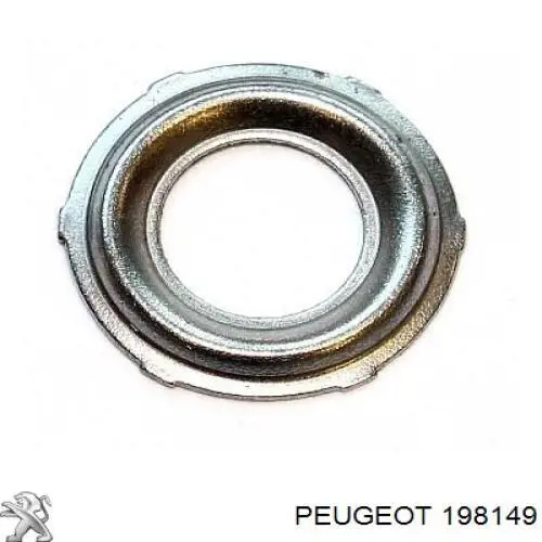 Compre 198149 Peugeot/Citroen Kit de reparação do injetor