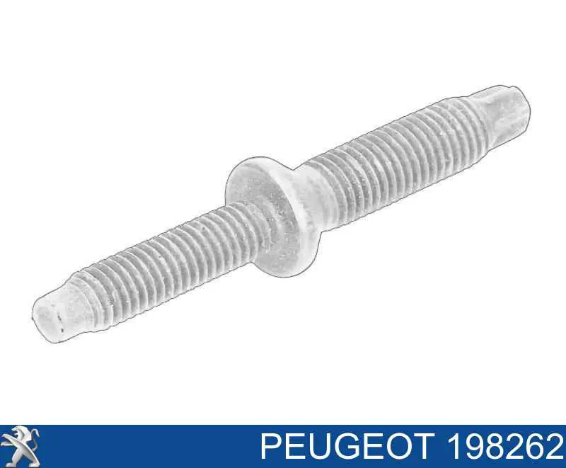 Parafuso de fixação do injetor Peugeot/Citroen 0000198262 preço, a partir de 2,77 USD
