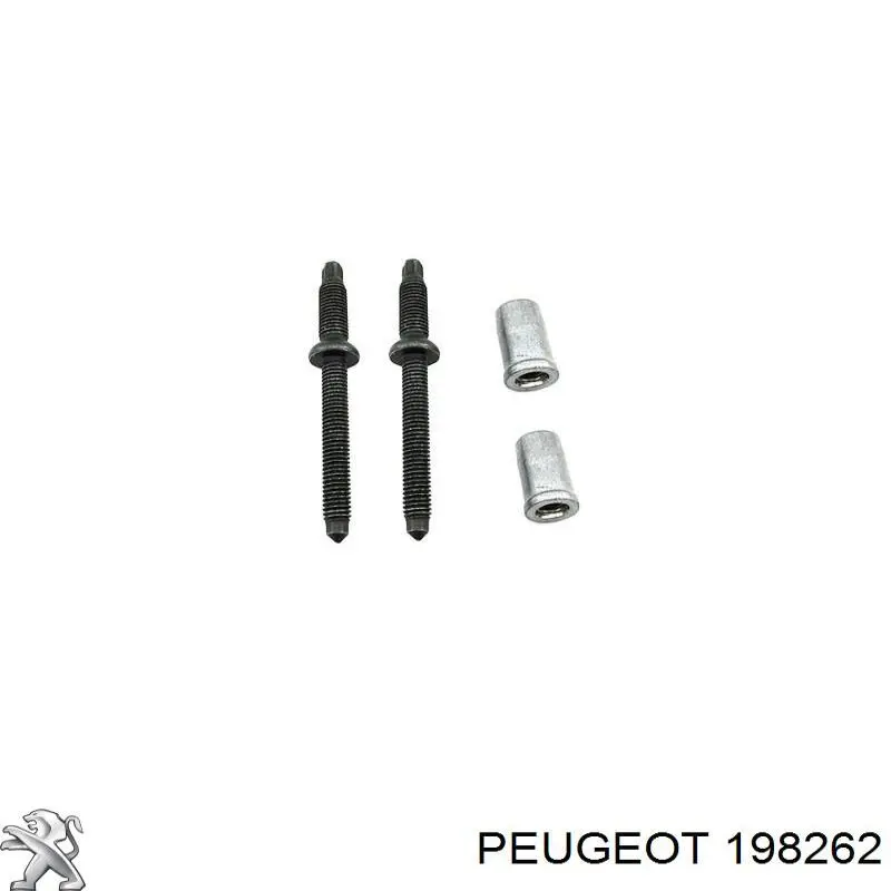 Compre 0000198262 Peugeot/Citroen Parafuso de fixação do injetor