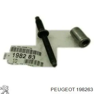0198263 Peugeot/Citroen Porca de fixação do injetor