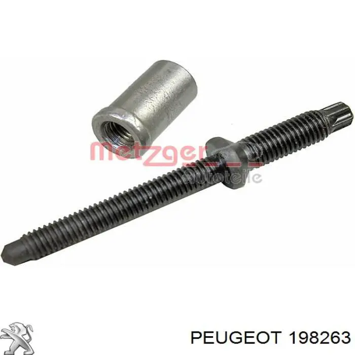 Porca de fixação do injetor Peugeot/Citroen 0198263 preço, a partir de 3,62 USD