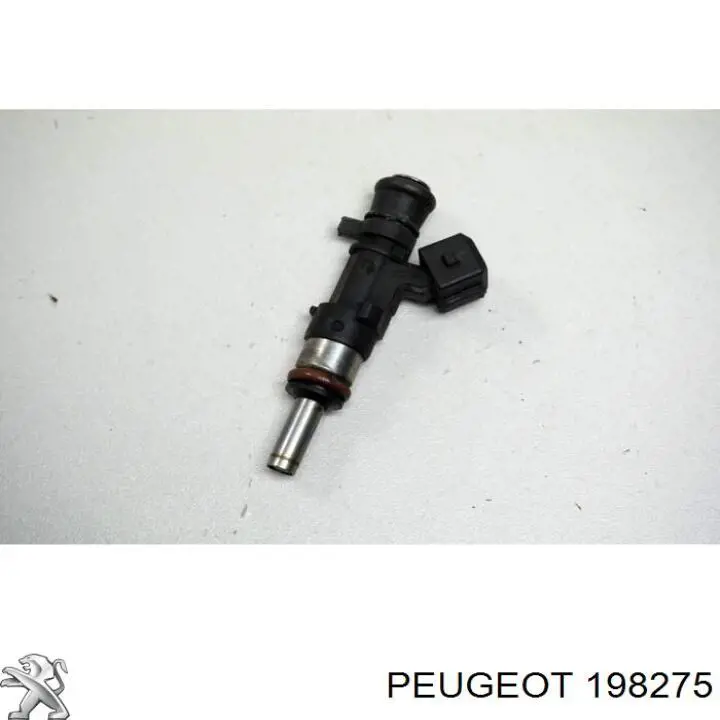 198275 Peugeot/Citroen Kit de reparação do injetor