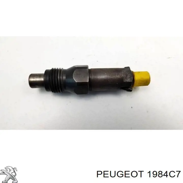 Compre 1984C7 Peugeot/Citroen Pulverizador de diesel do injetor