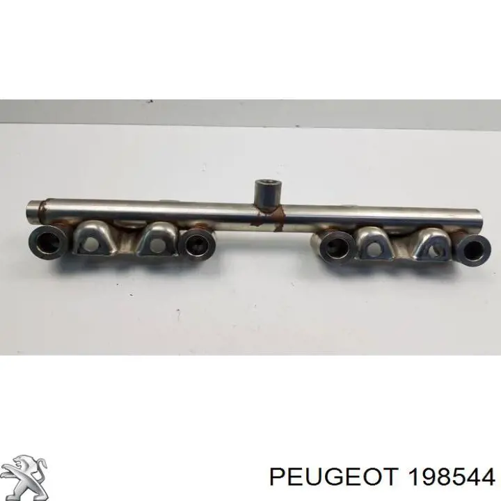 198544 Peugeot/Citroen Distribuidor de combustível (rampa)