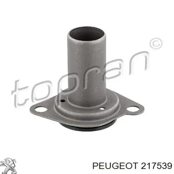 217539 Peugeot/Citroen Guia da árvore primária da Caixa de Mudança
