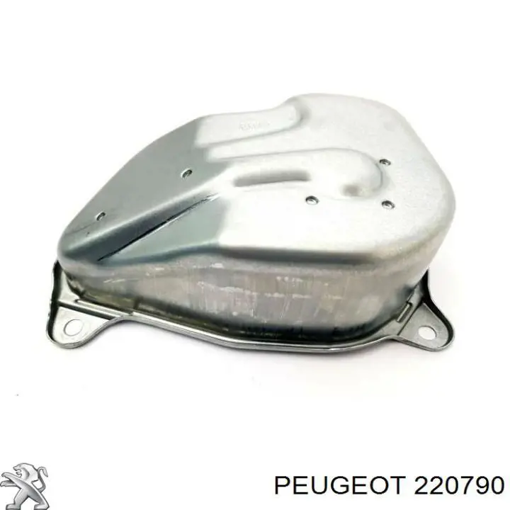 220790 Peugeot/Citroen Tampa traseira da caixa de mudança