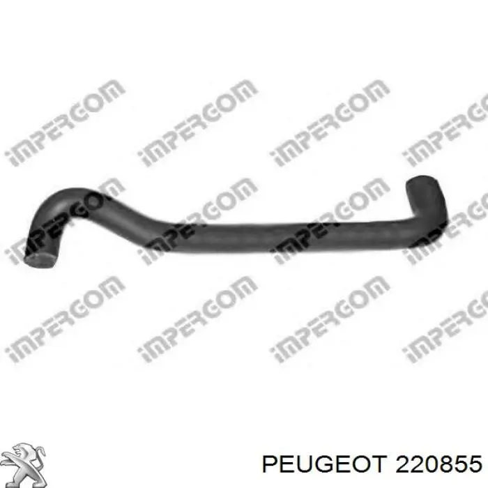 220844 Peugeot/Citroen Tampão de panela da Caixa Automática de Mudança