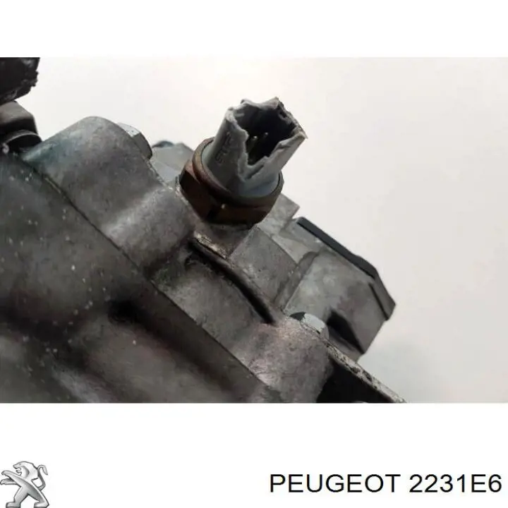 2231E6 Peugeot/Citroen Caixa de Mudança montada (caixa mecânica de velocidades)