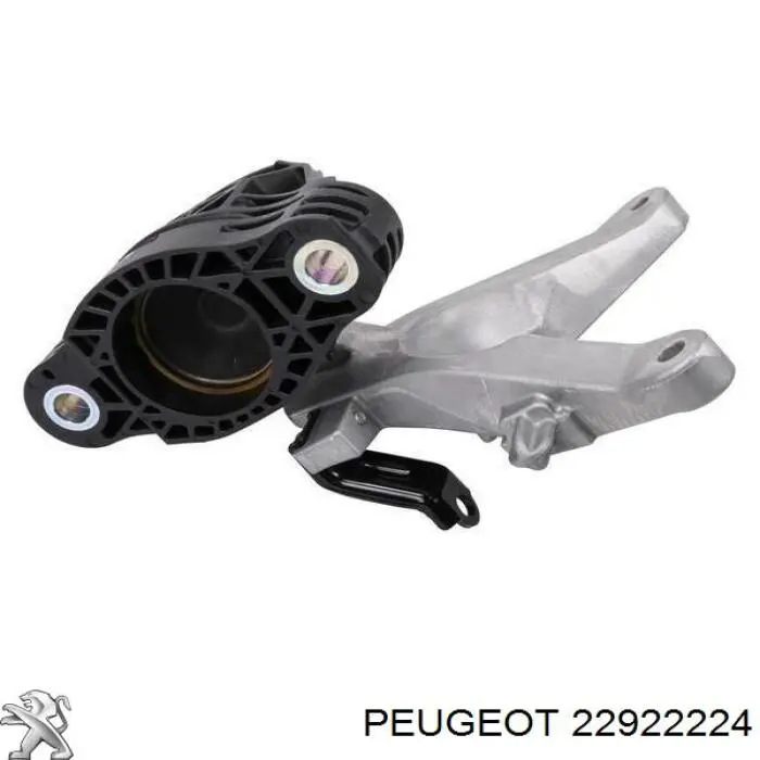 Compre 22922224 Peugeot/Citroen Sensor do nível do fluido de esfriamento no tanque