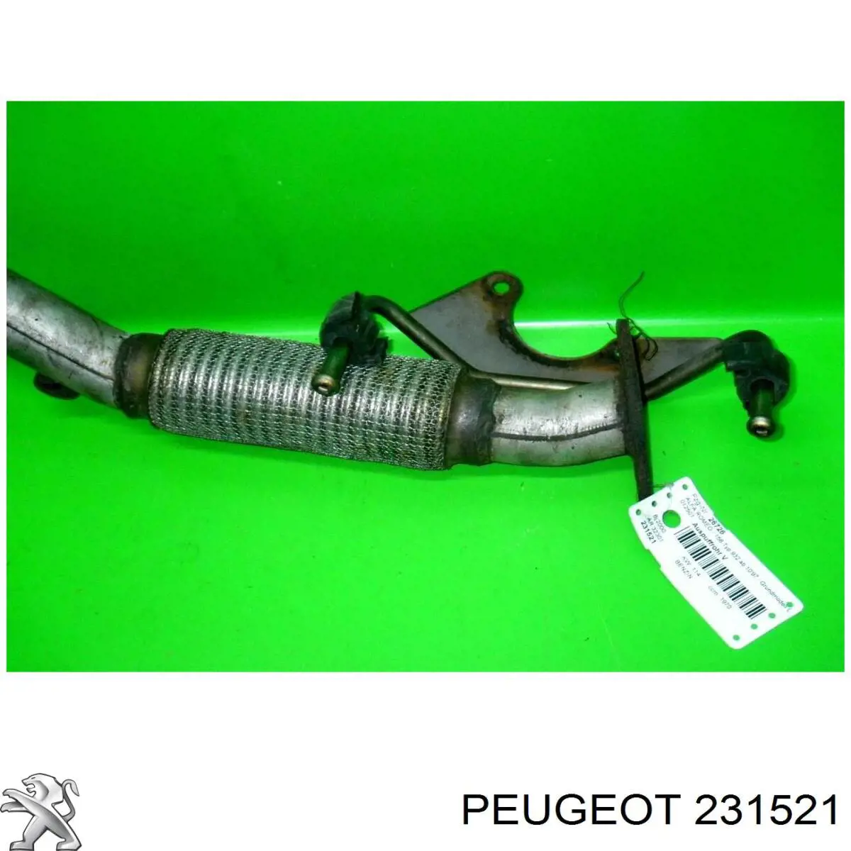 231521 Peugeot/Citroen 