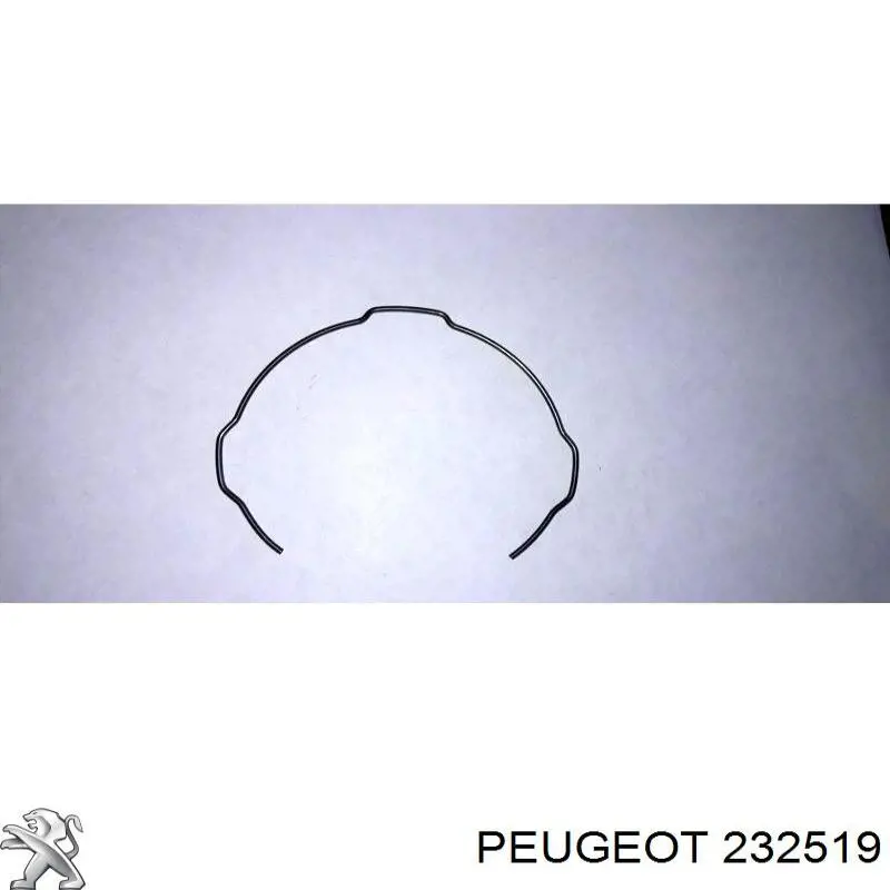 232519 Peugeot/Citroen Mola de sincronizador da Caixa de Mudança