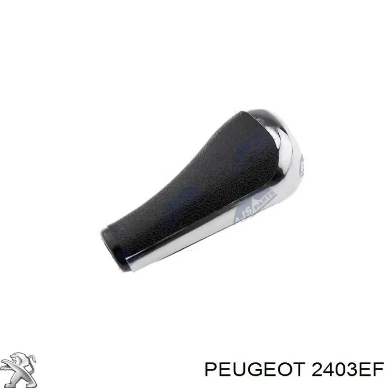 2403EF Peugeot/Citroen Cabo da avalanca da Caixa de Mudança