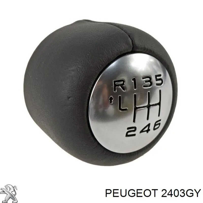 Compre 2403GY Peugeot/Citroen Cabo da avalanca da Caixa de Mudança