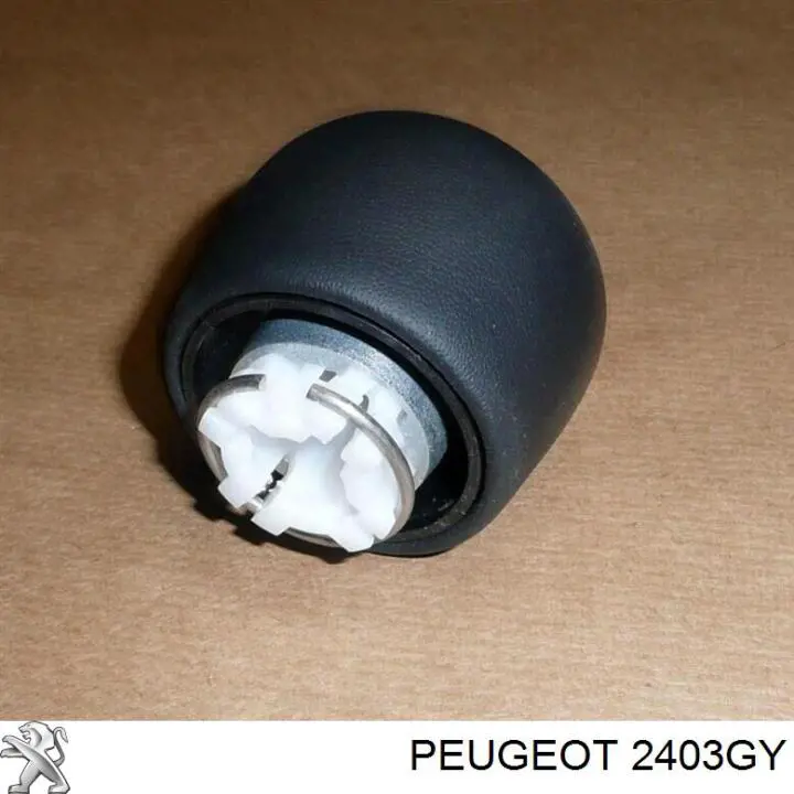 2403GY Peugeot/Citroen Cabo da avalanca da Caixa de Mudança