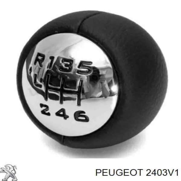 2403V1 Peugeot/Citroen Cabo da avalanca da Caixa de Mudança