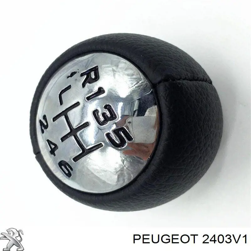 Compre 2403V1 Peugeot/Citroen Cabo da avalanca da Caixa de Mudança