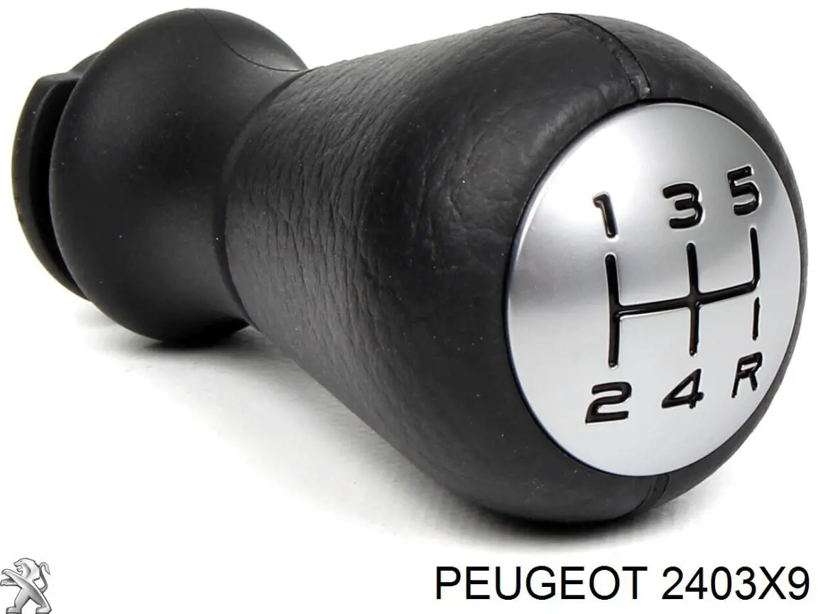 Cabo da avalanca da Caixa de Mudança Peugeot/Citroen 2403FK preço, a partir de 16,91 USD