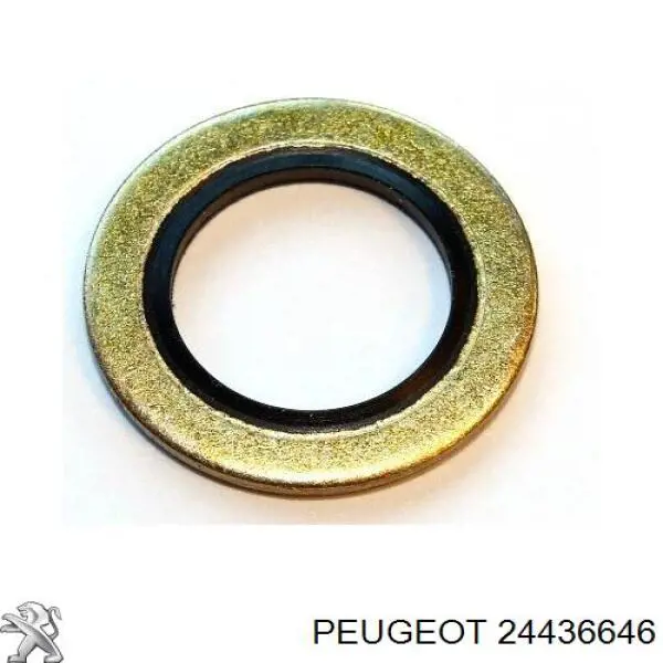 Vedante anular de mangueira do compressor de retorno 24436646 Peugeot/Citroen