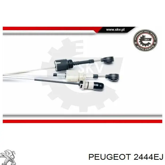 Compre 2444EJ Peugeot/Citroen Cabo de mudança duplo