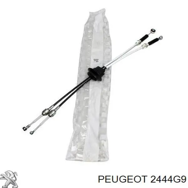 2444G9 Peugeot/Citroen Cabo de mudança duplo