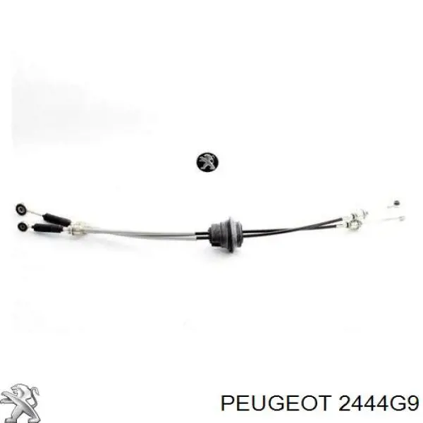Compre 2444G9 Peugeot/Citroen Cabo de mudança duplo