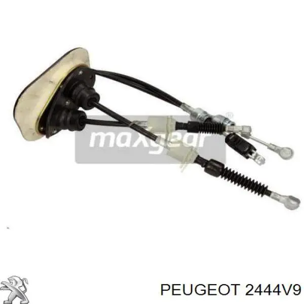 Cabo de mudança duplo Peugeot/Citroen 2444V9 preço, a partir de 138,84 USD
