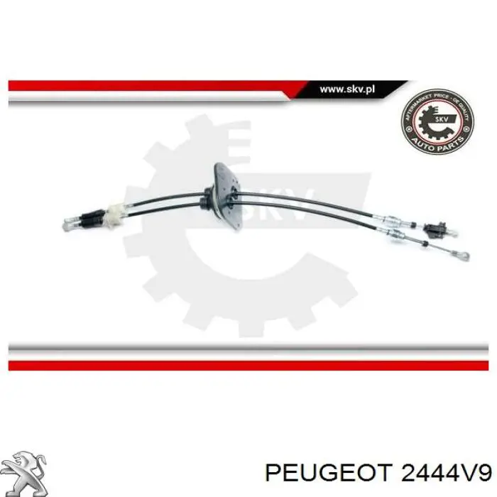Compre 2444V9 Peugeot/Citroen Cabo de mudança duplo