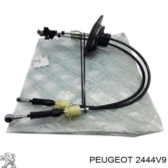 Compre 2444V9 Peugeot/Citroen Cabo de mudança duplo