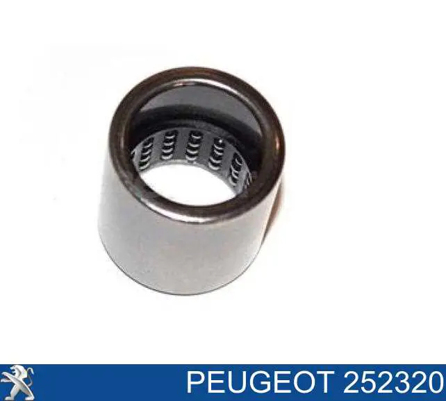 Bucha do eixo de forquilha de embraiagem Peugeot/Citroen 252320 preço, a partir de 22,62 USD