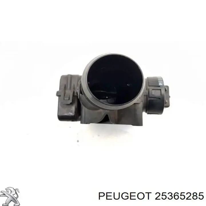 25365285 Peugeot/Citroen Válvula de borboleta montada