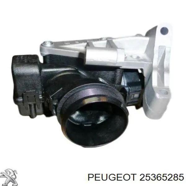 Compre 25365285 Peugeot/Citroen Válvula de borboleta montada