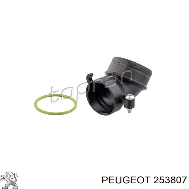 253807 Peugeot/Citroen 