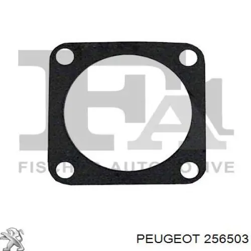 256503 Peugeot/Citroen Anel de pistão da Caixa Automática de Mudança