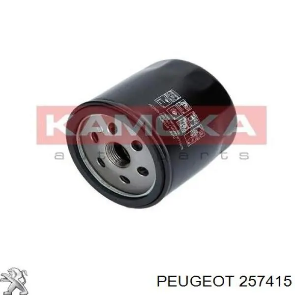 257415 Peugeot/Citroen 