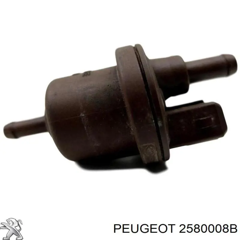  2580008B Peugeot/Citroen