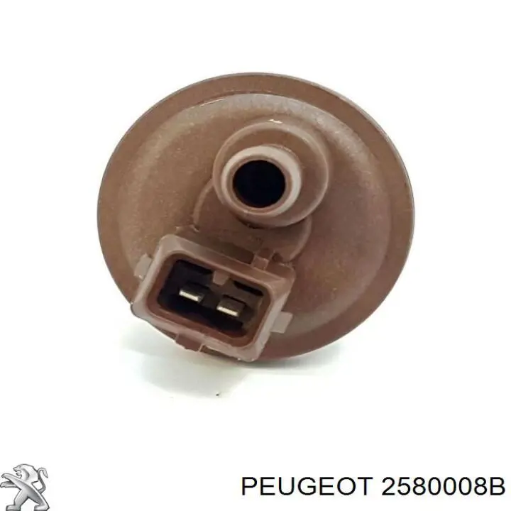  Peugeot/Citroen 2580008B