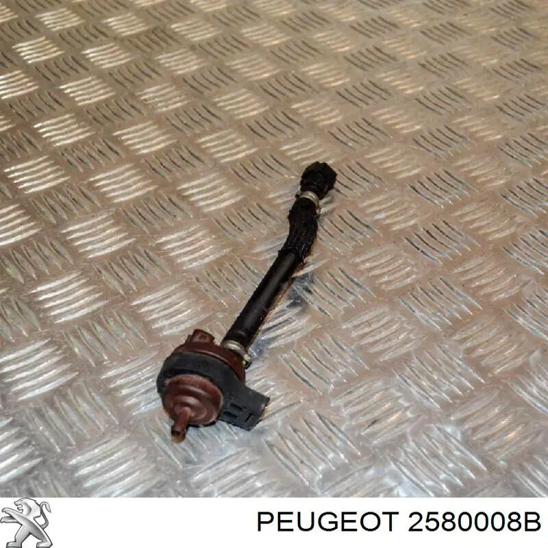 2580008B Peugeot/Citroen 