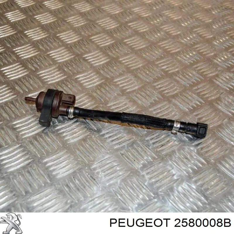  2580008B Peugeot/Citroen