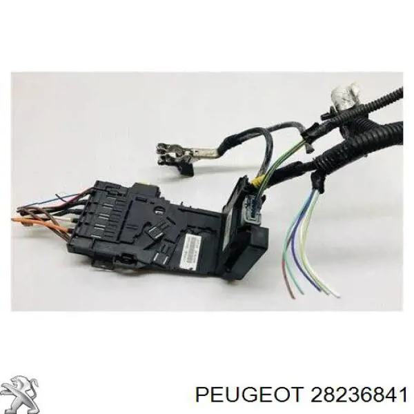 00006500GQ Peugeot/Citroen Unidade de dispositivos de segurança