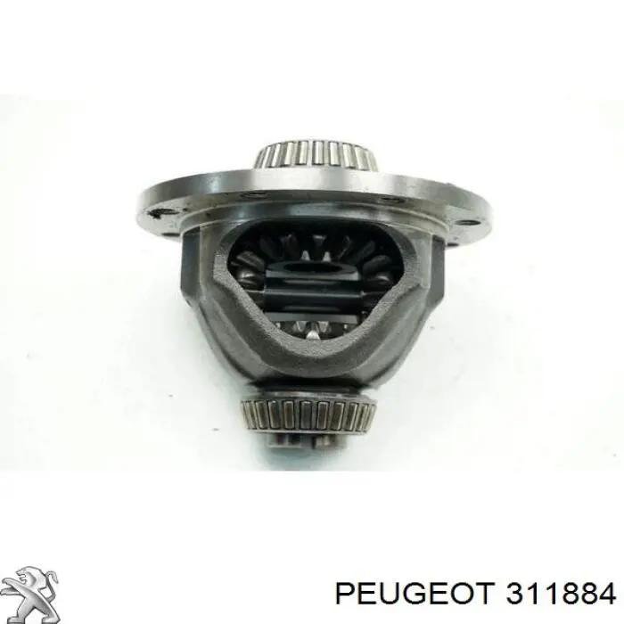Compre 311884 Peugeot/Citroen Diferencial dianteiro