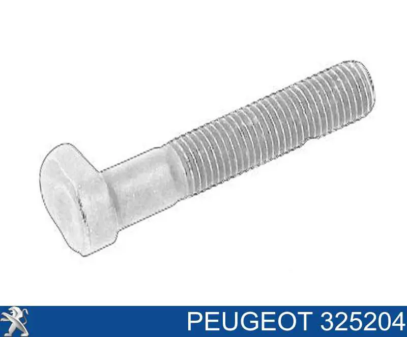 325204 Peugeot/Citroen Parafuso do apoio de rolamento suspenso do semieixo dianteiro