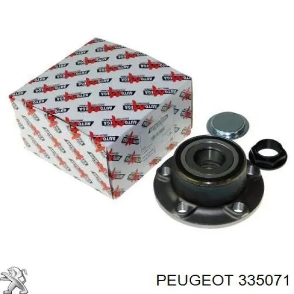 Compre 335071 Peugeot/Citroen Cubo traseiro