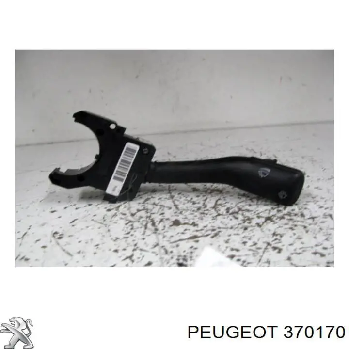 370170 Peugeot/Citroen Cubo traseiro