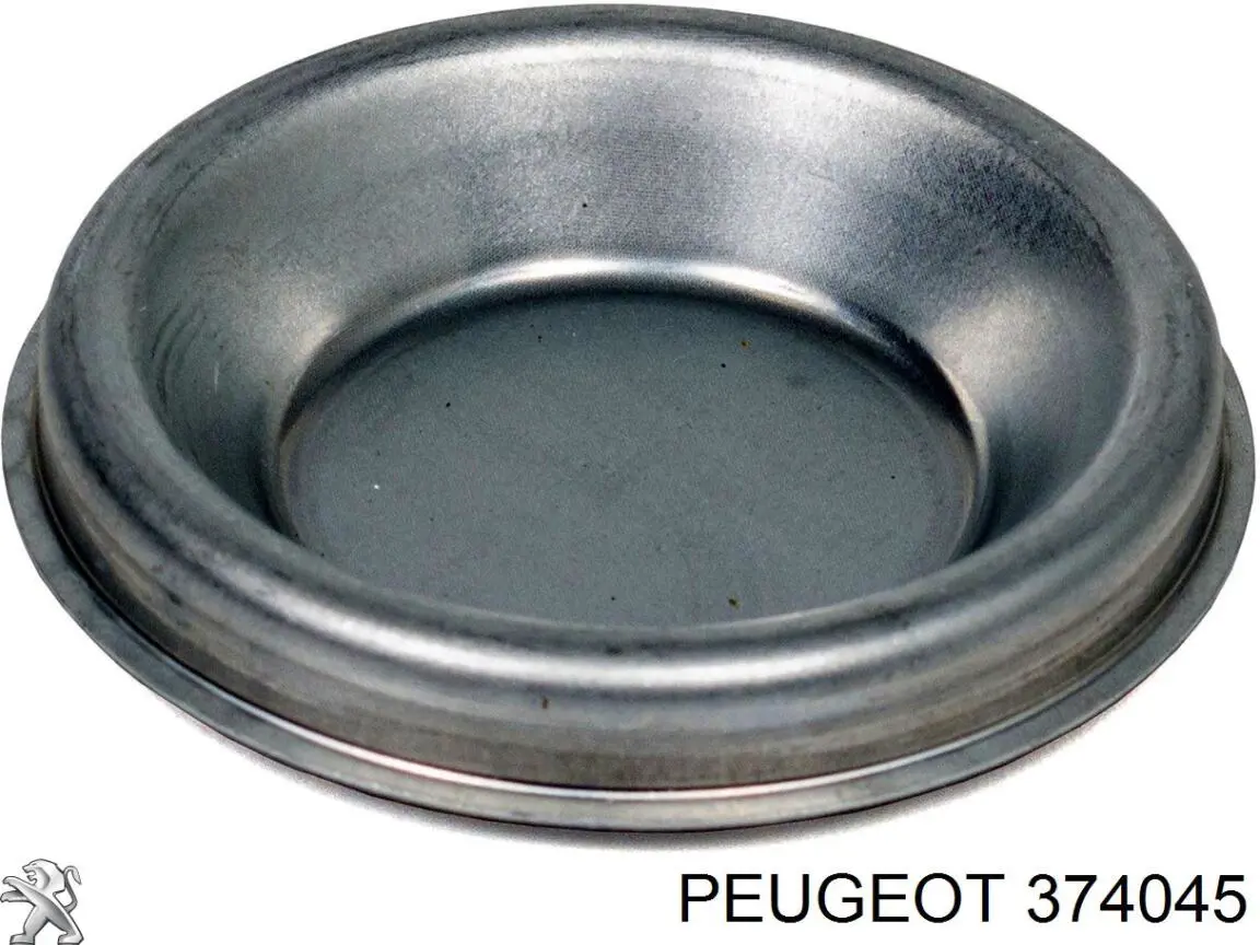 951014 Cautex Tampão de cubo